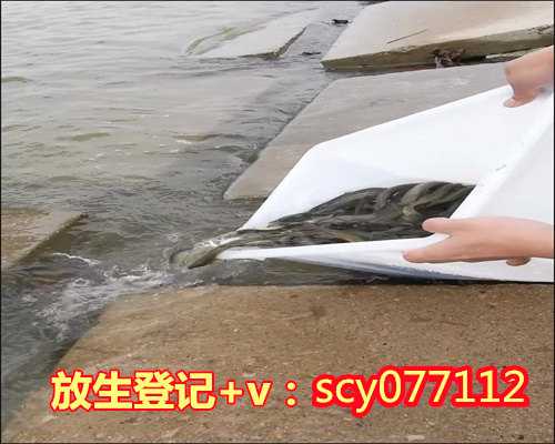 南京放生甲鱼的地方在哪里，南京牛首山欲放生10万萤火虫引争议活动已取消