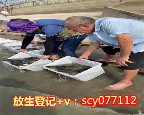 南京哪里可以放生鱼呢，南京高座寺援助南京疫情防控工作