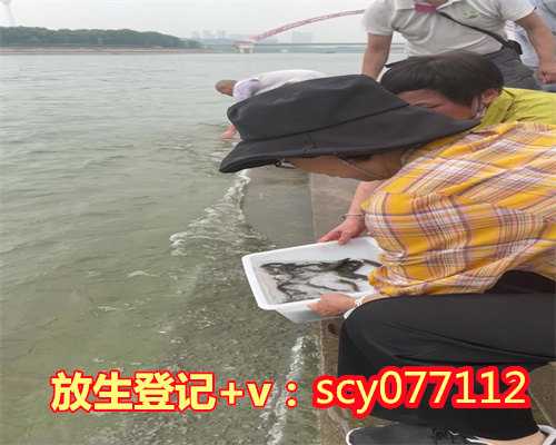 北京哪里可以放生小鱼，北京昌平北沙河大量死鱼漂
