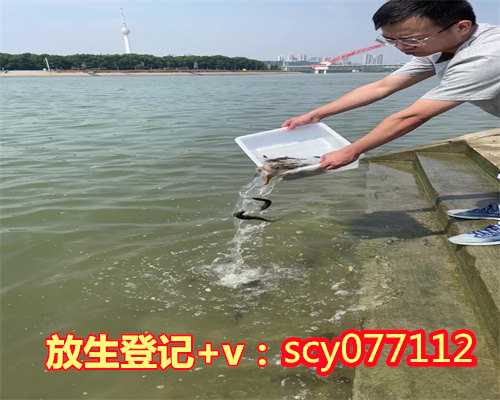 深圳哪里可以放生黄鳝，习近平：在深圳经济特区建