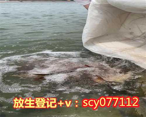 南京放生泥鳅放在哪里比较好呢，南京渔民捕获1米多长“胭脂鱼王”已就地放