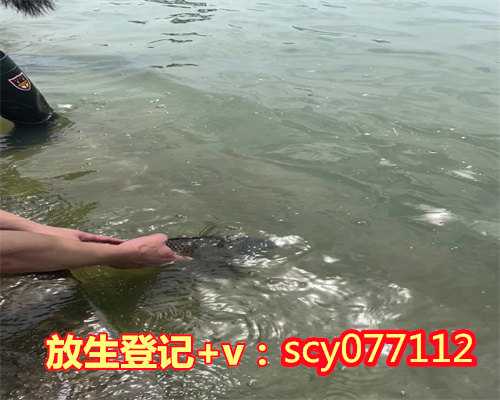 南京哪里可以放生鱼类的，杀生恶报：嗜肉成猪的南京举人(34-35)《江慎修居士