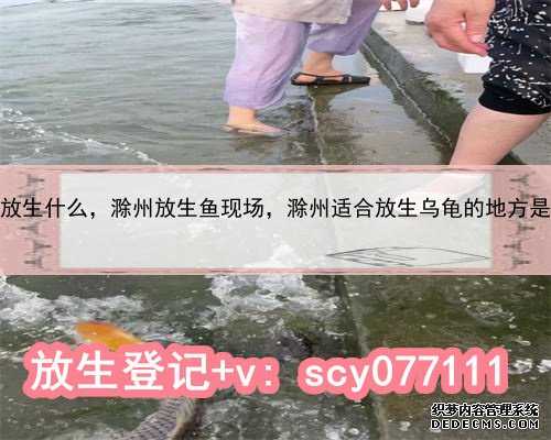 求子放生什么，滁州放生鱼现场，滁州适合放生乌龟的地方是哪里