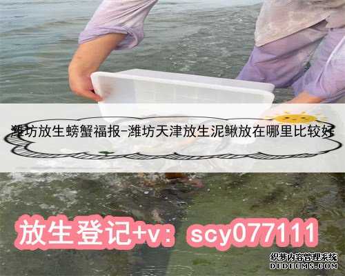 潍坊放生螃蟹福报-潍坊天津放生泥鳅放在哪里比较好